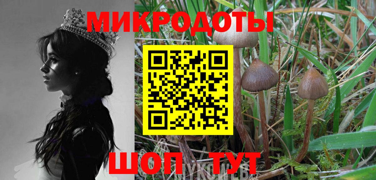 Галлюциногенные грибы MAGIC MUSHROOMS  Галлюциногенные грибы ЛСД  Кинешма  как найти закладки  Вход с VPN 