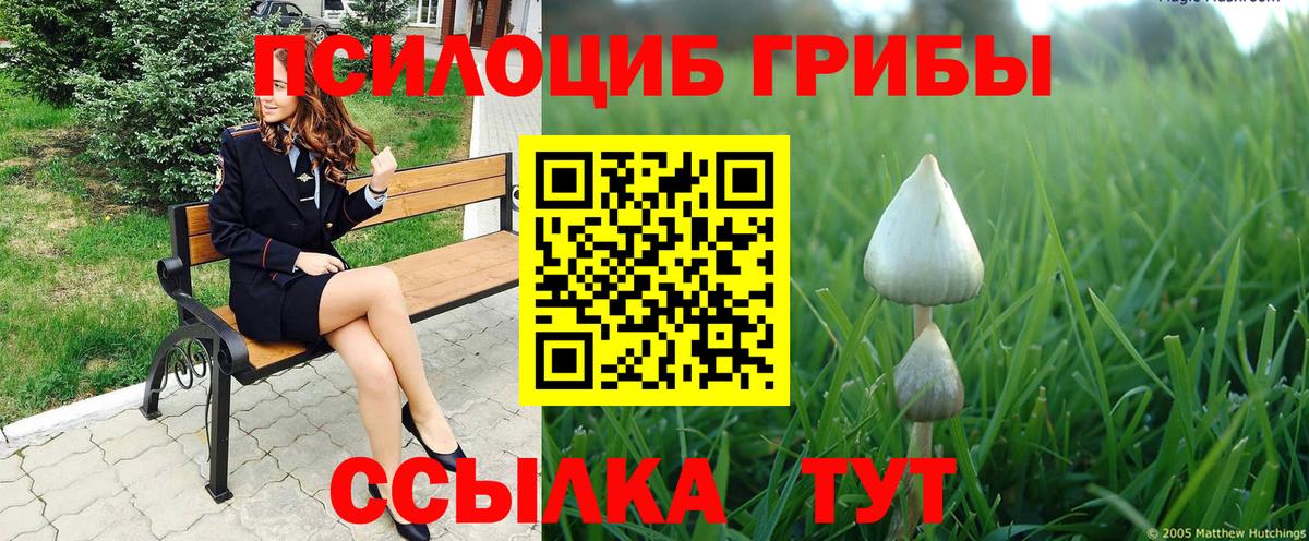 Галлюциногенные грибы GOLDEN TEACHER Кинешма